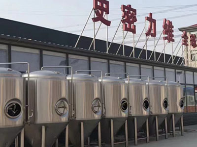 会泽精酿啤酒设备厂—如何判断精酿啤酒设备的密封件需要更换？